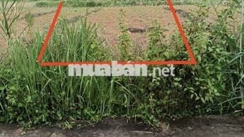 Bán đất thổ cư giá rẻ  .Giá 380 triệu 1 nền 200 m 2 . sổ sẵn