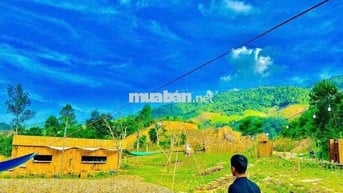 Bán khu vườn sinh thái Đà Nẵng. Mời cả nhà
Vườn Đà Nẵng gần 10.000m2