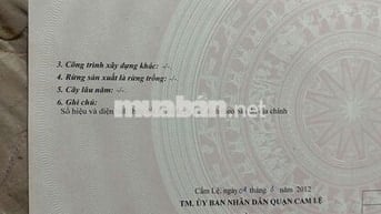 Bán Đất tại Đoàn Ngọc Nhạc, Hòa Xuân, Cẩm Lệ, Đà Nẵng, 4,95 tỷ, 100m2