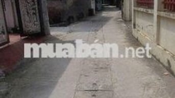 Bán đất đại đồng đại mạch đông anh HN 45.9m2 3.8 tỉ