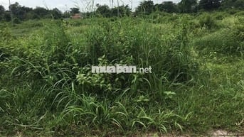 ĐẤT TÂN PHÚ TRUNG GIÁ ĐẸP 110M2 GIÁ CHỈ 670TR SHR, MT ĐƯỜNG NHỰA