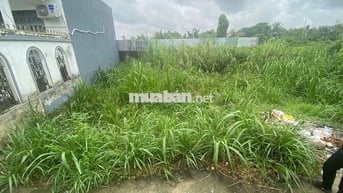 Đất Hoàng Phan Thái 4x20 80,1m2 Đất thổ cư xây tự do hẻm nhựa 8m 1tty5