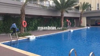 🌿 CHO THUÊ CĂN HỘ 1 PHÒNG NGỦ – FULL NỘI THẤT – SÀI GÒN MIA – GIÁ TỐT