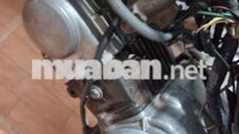 DD đỏ