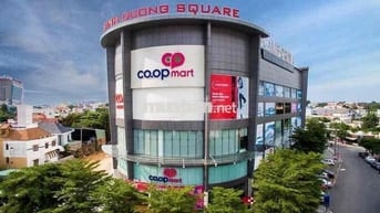 Cho Thuê Căn Hộ Chung Cư Biconsi Chợ Đình - Phú Lợi - Bình Dương