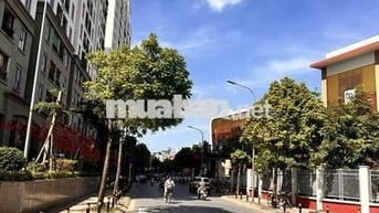 Giá đầu tư! Vừa ở vừa kinh doanh, Bán Chân đế Homeland Thượng Thanh