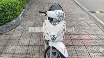 Shark 125 SWM