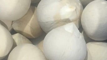 DỪA KIẾN AN TUYỂN PHỤ VIỆC KHO DỪA TƯƠI