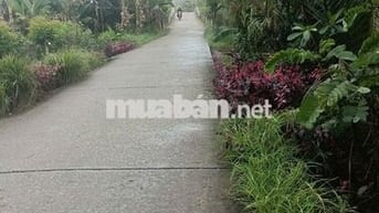 Bán đất giá tốt gần trung tâm Đại Ngãi – Cần Thơ mở rộng, DT 4635 m2