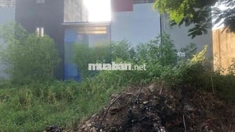 Đất 54m2 ngang 4,5m TĐC Bạch Mai, Đồng Thái, An Dương