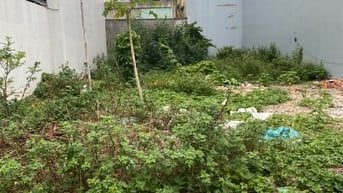 Bình Dương  Bán Gấp  đất mặt tiền giá 250tr