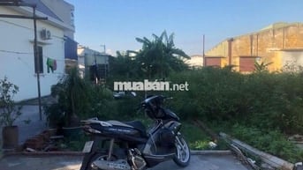 Đất 77m2 ngang 4m Bạch Mai, Đồng Thái, An Dương 2,57 tỷ đồng