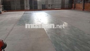 CHO THUÊ KHO 430M2 ĐƯỜNG LÊ TRỌNG TẤN HẺM XE TẢI KHO ĐIỆN 3PHA