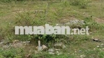 Sở hữu lô đất kim cương trên đường Triệu Quang Phục,sinh lời vượt trội