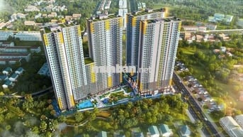 BCONS SOLARY- NƠI AN TÂM ĐỂ AN CƯ LẬP NGHIỆP