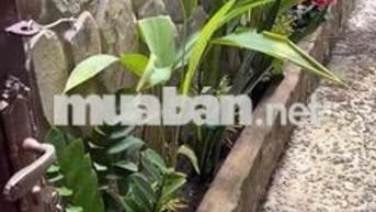 cho thuê nhà 3PN sát đại học Luật Quốc lộ 13