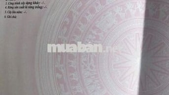 🌾 BÁN LÔ ĐẤT 6000m2 CÓ THỔ CƯ TẠI ĐẠT LÝ – HÒA THUẬN, BMT 🌾