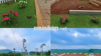 CẦN BÁN ĐẤT CÓ SỔ THỔ CƯ DI LINH CÁCH QLO20 CHỈ 2KM GIÁ CHỈ 835tr