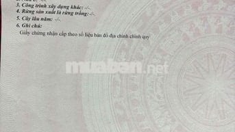 Chính chủ đứng tên giấy bán đất nền Tp Vị Thanh full thổ cư