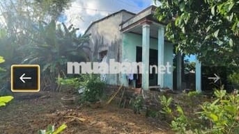 Đất sổ đỏ 120m2 đường Nguyễn Như Đổ,Quận Cẩm Lệ, Đà Nẵng