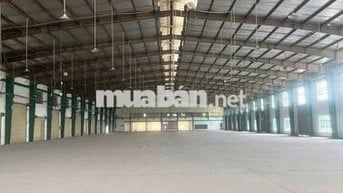 CHO THUÊ XƯỞNG 5488m² TRONG KHUÔN VIÊN 8.774m² TÂN PHÚ TRUNG - CỦ CHI