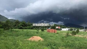 Chính chủ cần bán dự án Thôn TÂN LONG, Xã CHÂU PHA, Thị xã PHÚ MỸ,  Tỉ