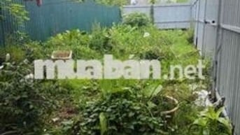BÁN LÔ ĐẤT ĐẸP MẶT ĐƯỜNG ÂU CƠ – HÀNG HIẾM TRUNG TÂM QUẬN TÂY HỒ