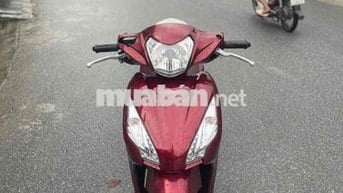 VISION Nguyên Bản 2020 Chất_Bảo Hành 2 Năm