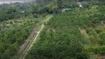 Hot 506m² đất Cây lâu năm, mặt ngõ 35 Đào Duy Tùng gần QL3 Km10, ga Me