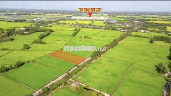 bán đất làm vướn 2493m giá 1ty950