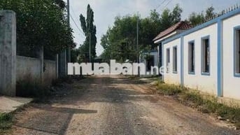 107m2 thổ cư đẹp Thiện Tân cũ (nay P. Trảng Dài)
