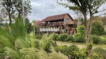 🏡Đất vườn đồi view hồ cực chill tại Đồng Nai – Chỉ 1.1 TỶ/1000m² – SHR