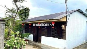 Nhà gỗ có hoàn công - Hẻm Phan Chu Trinh - Bảo Lộc DT 369m2 giá tốt