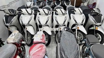 sh350 đen máy thái zin hãng