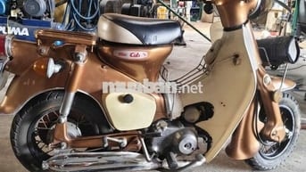 Cub Cối đã hạ mini