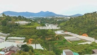 Bán đất Đà Lạt Xô Viết Nghệ Tĩnh 500m, view đồi thông Tùng Lâm cực đẹp
