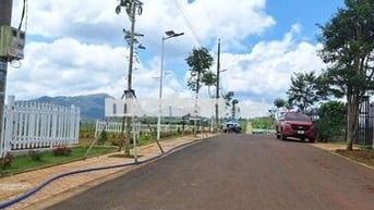 Ngộp bank cắt lỗ 50% lô đất ở Di Linh giá chỉ 479tr