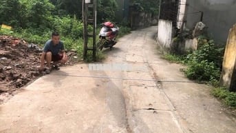Bán gấp đất Đại Áng ô tô ,ngõ thông ,diện tích rộng ,giá đầu tư 4.5 tỷ