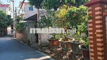 Bán đất Đại Đồng Đại Mạch Đông Anh Hn 109m2 9.8 tỉ