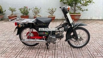 cub nhật 50