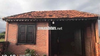 Thửa 420 tờ 48  Địa chỉ: xã Láng Dài, huyện đất Đỏ, tỉnh Bà Rịa Vũng T