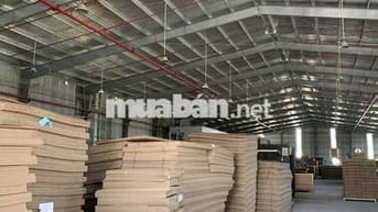 GIẢM GIÁ SỐC – BÁN NHANH NHÀ XƯỞNG 2.340m² NGAY KCN TÂN ĐÔ – HẢI SƠN