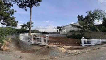 Bán Đất Đèo Mimosa P10 đà Lạt 500trieu Có Sổ Sang Tên