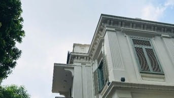 Bán nhà mặt phố Tràng Thi VIP, lô góc 219m2, mặt tiền 19.8m, 215 tỷ