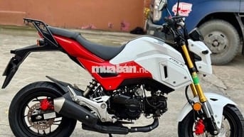 Honda Msx125 đờicao, chính chủ lướt keng