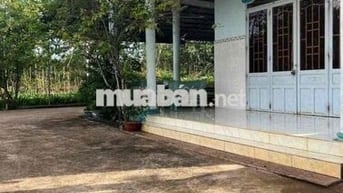 Ông Bà nội lớn tuổi bán nhanh về ở với con
