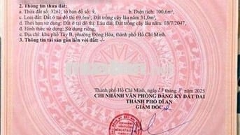 Bán Lô Đất MT Cây Da Xề phường Đông Hoà Tp HCM
