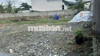 BÁN 2 KHU ĐẤT NỀN THỔ CƯ ĐƯỜNG TÂN NHỰT, BÌNH CHÁNH