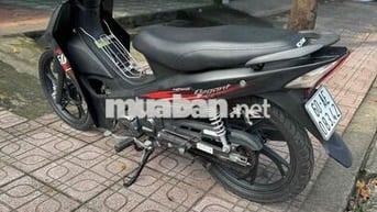Elegant 50cc