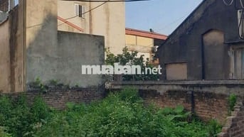 🚀🚀 Lô góc 51,5m tại Xâm Hồ - Vân Tảo - Thường Tín - Hà Nội
🎄 Mặt ti